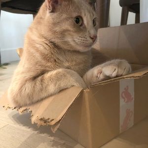 Meet your Posher, Erin